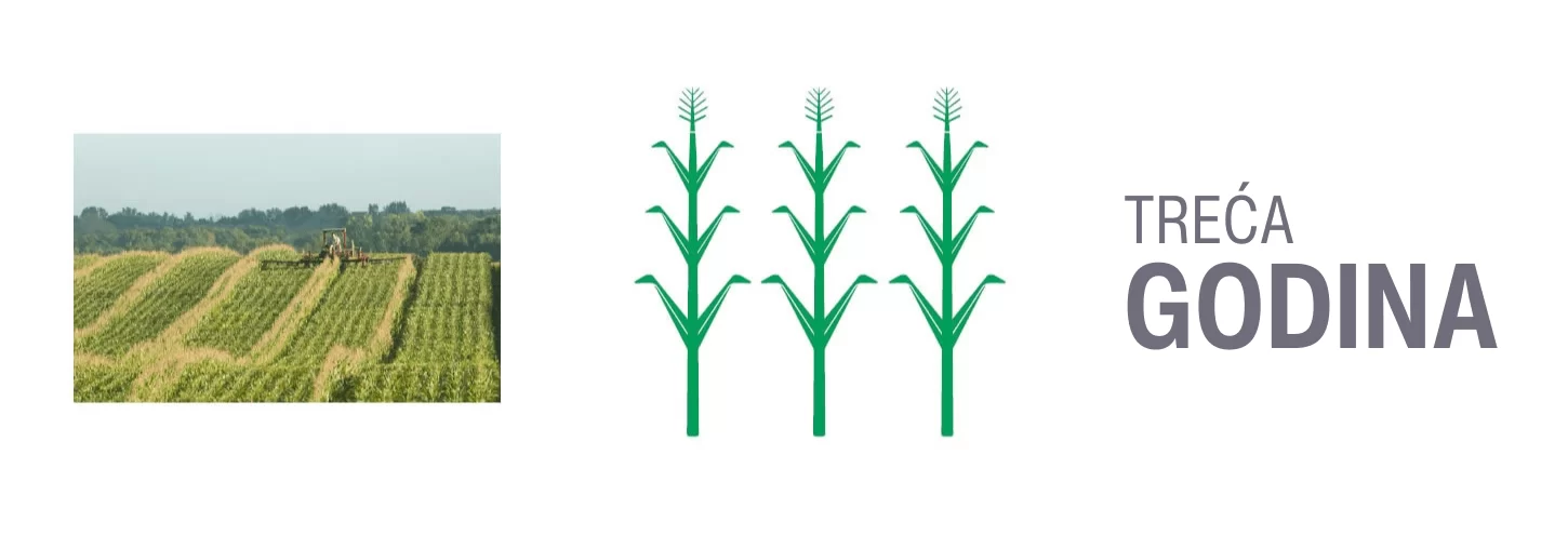 Istraživanja se usmeravaju ka pred – elitnim ogledima testiranja Stine hibrida gde se Stine hibridi eksperimentalno uzgajaju u parcelama od šest redova, za razliku od konkurencije koja obavlja eksperimente u parcelama od dva ili četiri reda.